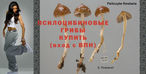 кокаин VHQ Вяземский